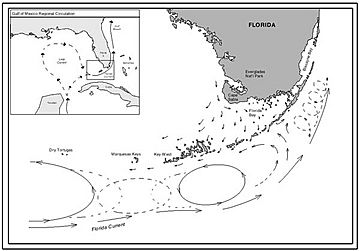 Florida Current map