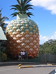 GiantPineappleNambour