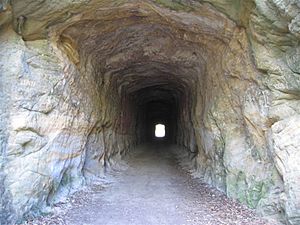 Laheys Canungra Tramway Tunnel, 2007