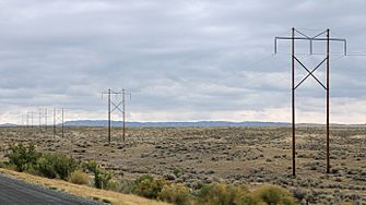 MK01051 Bighorn Basin