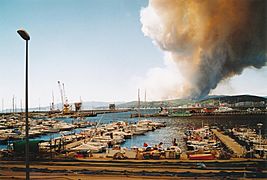 Palamos Waldbrand bei Platja d’Aro