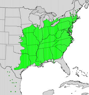 Platanus occidentalis map.png