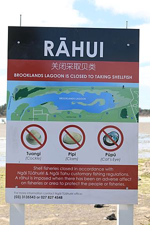 Rahui 27