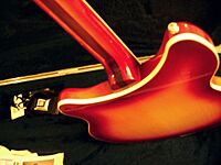 Rickenbacker neck