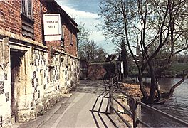 River Nadder Harnham Mill