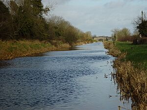 Royal Canal Longford long