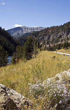 Snake River Canyon WY1