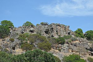 Sonoma Volcanics at Rockville Park.jpg