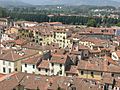 Torre guinigi, view 11, piazza dell'anfiteatro