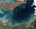 Toxic Algae Bloom in Lake Erie