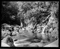 Wainui River Tyree Collection 1