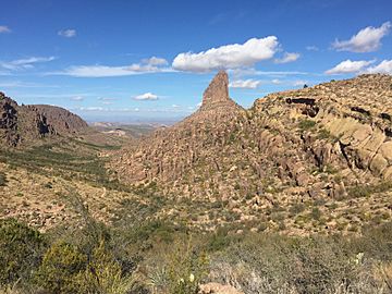 Weavers Needle-Peralta view.jpg