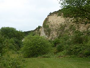 Wells Chalk Pit 4.jpg