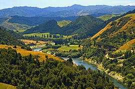 Whanganui River.jpg