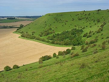 Whitesheet hill.jpg