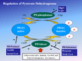 1400x1048 pdh regulation