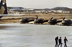 Argentine Hueys