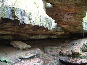 At Rockbridge State Nature Preserve.jpg