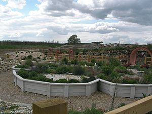 Butterfly World, Hertfordshire.jpg