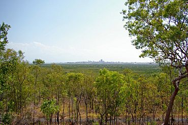 CDNP lookout.jpg