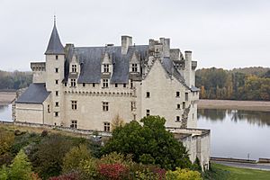 Château de Montsoreau