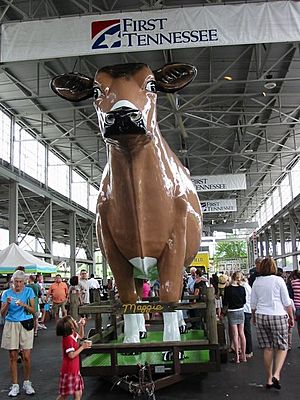 ChattanoogaMarketMaggie