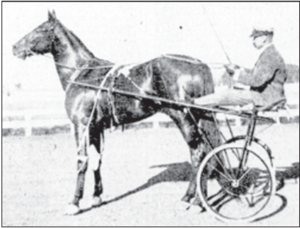 DanPatch1901