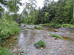 Ellis River, Jackson, New Hampshire