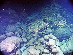 Explorer Ridge pillow lava