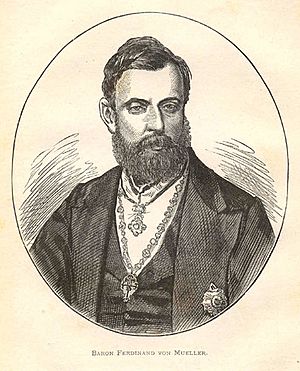 Ferdinand Jacob Heinrich von Mueller00.jpg