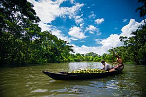 Floating market ,Barisal