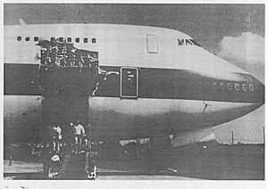 Flt 811 damage