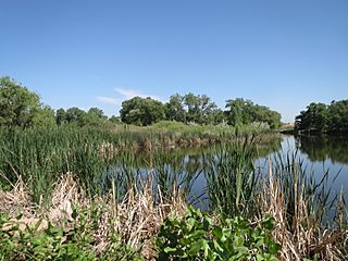 Fountation Creek Nature Center 6