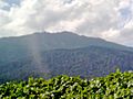 Gunung Ledang from the road