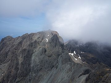 In pinn.jpg