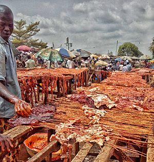 Kilishi heaven