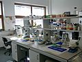 Laboratorium-biologia-molekularna