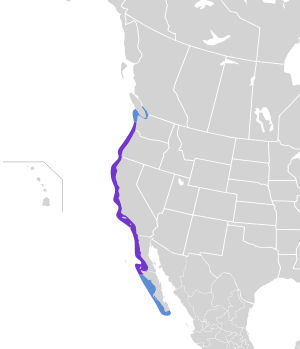 Larus occidentalis map.svg