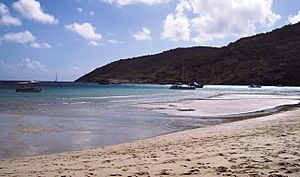 Lizard island beach