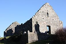 Loughinisland Churches, March 2010 (03)