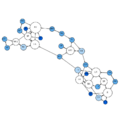 Moreno Sociogram 7th Grade