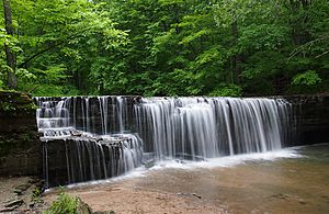 Nerstrand Big Woods SP-HiddenFalls