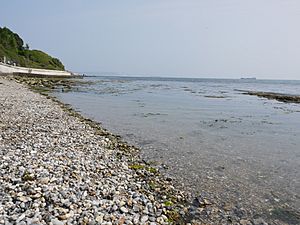 Newtons Cove, Weymouth