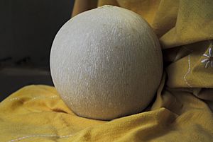 Pallone di Gravina