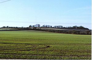 Perborough geograph-1194525-by-D-Gore.jpg