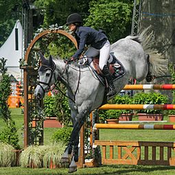 Pfingstturnier-2013-Jessica-Springsteen