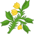 Planta genista Badge of the Plantagenets.svg