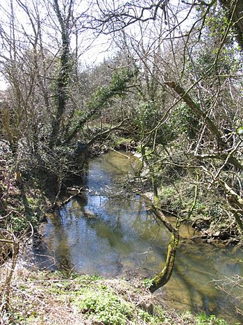 River Sence - geograph.org.uk - 147946.jpg