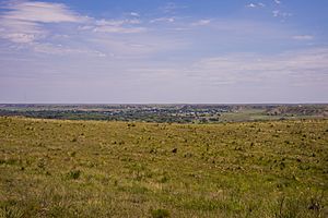 Skyline of Miami Texas