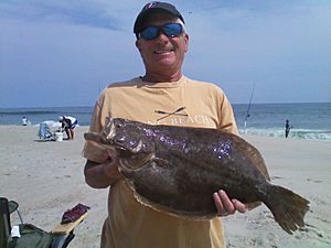 Southern flounder